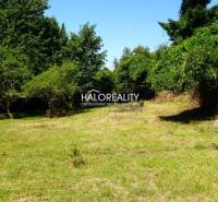 Greenery and trees in Pernek for plots - housing, ideal for peaceful living.