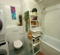 Bathroom with a washing machine, bathtub, and decorations in a 2-room apartment.