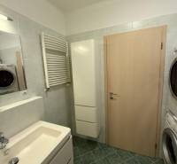 A bathroom in a 2-room apartment with a sink, a washing machine, and a green floor.