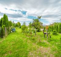 The garden of a family house in Ladce on Pavla Koyša Street full of greenery and trees.