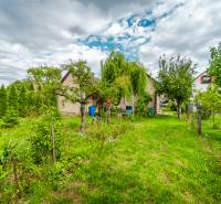 The garden of the family house on Pavla Koyša in Ladce with dense greenery and trees.