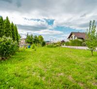 Garden at the family house on Pavla Koyša Street in Ladce with a lawn and trees.