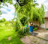 The garden at the family house on Pavla Koyša Street in Ladce with lush green vegetation.
