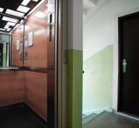 An elevator with a wooden decor and a staircase with doors to a 2-room apartment.