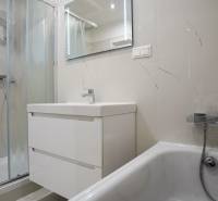 The bathroom in the 2-room apartment has a shower, a sink, and a bathtub.