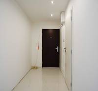 A hallway in a 2-room apartment with white walls and dark doors.