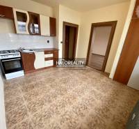 A kitchen with a gas stove and a sink in a studio apartment, with ceramic tiles.