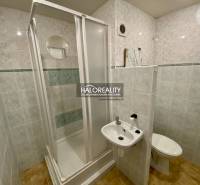 A bathroom with a simple shower, sink, and toilet in a studio apartment.
