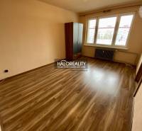A room with a floor, a wardrobe, and a window offers a bright spatial solution for a studio apartment.