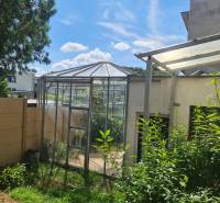 A greenhouse near a family house in Nové Zámky, surrounded by greenery and a fence.