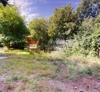 The garden at the family house on Hurbanova Street in Ivanka pri Dunaji, surrounded by trees and shrubs.