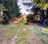 The garden of a family house on Hurbanova Street in Ivanka pri Dunaji, surrounded by trees.