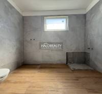 A bathroom in a family house with a white toilet and gray tiles.