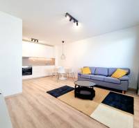 Living room of a three-room apartment with a kitchenette, light furniture, and a sofa.