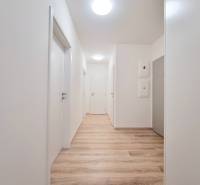 A hallway equipped with lights in a 3-room apartment with white doors and wooden flooring.
