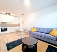 A bright kitchen with a living room and a sofa in a 3-room apartment.