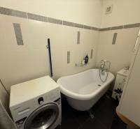 A bathroom in a 2-room apartment with a freestanding bathtub and a washing machine.