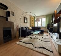 Living room in a two-room apartment with a sofa, fireplace, and television.