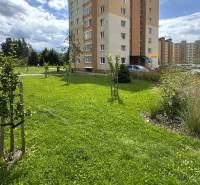 The grassy area in front of the apartment building on Západ Street in Tvrdošín, surrounded by greenery and a parking lot.
