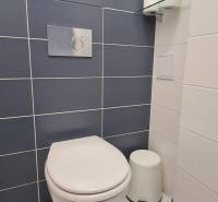A bathroom with blue and white tiles, a glass shelf, and toilet paper.