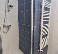 A shower corner with dark tiles and a ladder radiator in a 2-room apartment.