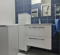 Bathroom in a 2-room apartment with a cabinet, sink, and mirror on the wall.