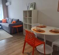 Living room in a two-room apartment with a sofa, table, and dining area.