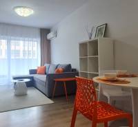 Living room in a two-room apartment with a sofa, dining table, and colorful accessories.