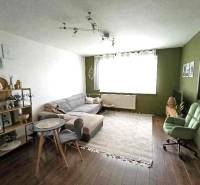 Living room in a 3-room apartment with a sofa, an armchair, and a bookshelf.