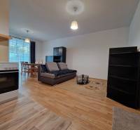 Living room in a one-bedroom apartment with a sofa, kitchen unit, and dining table.