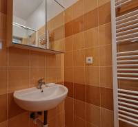 A bathroom in a studio apartment with a mirror and a sink, tiled.