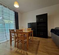 Dining table with chairs, cabinets, and a sofa in a studio apartment.