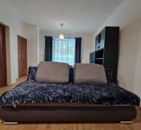 Living area, sofa, cushions, dark furniture, curtains, light flooring, studio apartment.