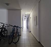 Hallway with bicycles in the building on Tehelná Street in Pezinok.