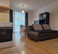 A one-bedroom apartment with a sofa, table, and stove in an open living area.