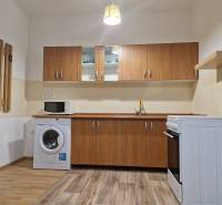 Kitchen in a studio apartment with a stove, microwave, and washing machine, wooden cabinets.