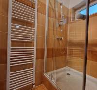 Shower corner in the bathroom of a one-room apartment with tiles and a radiator.