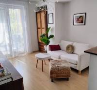 Living room in a two-room apartment with a white sofa and a plant.