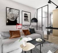 Living room of a two-room apartment with a sofa, modern posters, and wooden flooring.