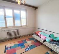 A room in a family house with a large window, carpet, sofa bed, chair.
