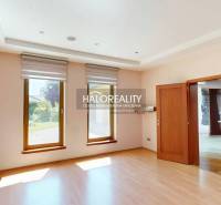 A bright room in a family house with wooden flooring and floral patterned wallpaper.