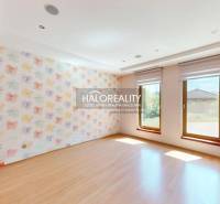 A room with large windows and floral wallpaper in a family house.