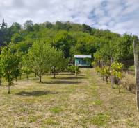 Orchard with a cottage and fencing on Strhárska Street in Modrý Kameň.