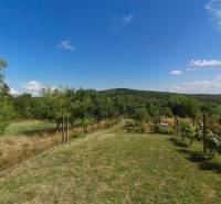 A view of the garden overlooking the forest and blue sky in Modrý Kameň, Strhárska.