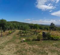A blooming garden behind the cottage on Strhárska Street in Modrý Kameň with a beautiful view.