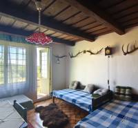 Interior of a cabin with a wooden ceiling, trophies on the walls, and a view of greenery.