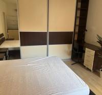 Bedroom in a 2-room apartment with a wardrobe, table, and plant.