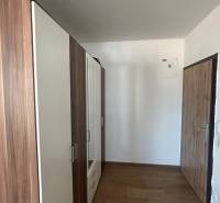 A hallway with a wardrobe and wooden doors in a 3-room apartment.