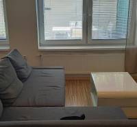 Living room in a two-room apartment with a dark gray sofa and a television.