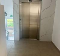 Elevator in the hallway of a 3-room apartment with tiles and a window.